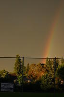 Picture 002
