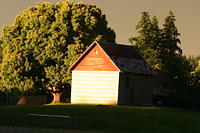 Picture 003