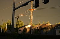 Picture 006