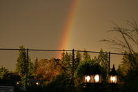 Picture 007