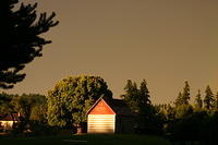 Picture 008