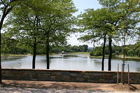 Picture 026