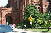 Picture 082