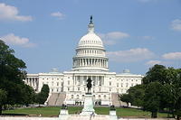 Picture 104