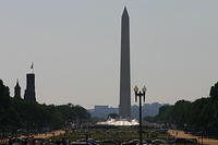 Picture 110