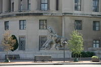 Picture 120