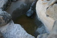 2005-07-21 Landscaping Fountain Holes 012