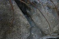 2005-07-21 Landscaping Fountain Holes 021