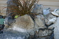 2005-07-21 Landscaping Fountain Holes 022