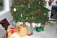 Picture 005