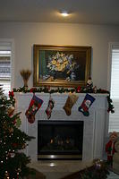 Picture 008