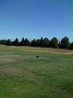 2007-07-06 Driving Range