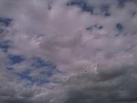 IMAGE 081
