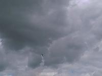IMAGE 091