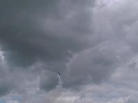 IMAGE 092