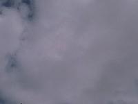 IMAGE 093