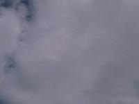 IMAGE 094