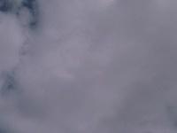 IMAGE 095