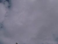 IMAGE 097