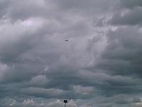 IMAGE 098