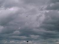 IMAGE 099