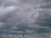 IMAGE 100