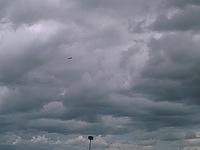 IMAGE 102