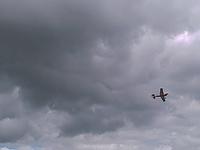 IMAGE 105