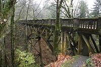 2008-11-29 Latourell Falls Hike