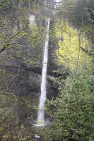 IMG 0130