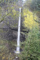 IMG 0132