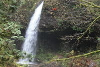 IMG 0142