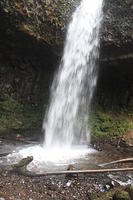 IMG 0148