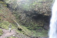 IMG 0152