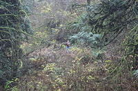 IMG 0153