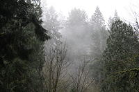 IMG 0168