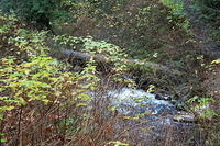 IMG 0174