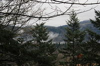 IMG 0176