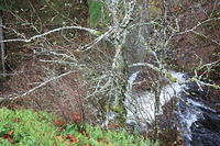 IMG 0177