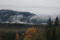 IMG 0181