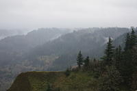 IMG 0212