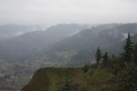 IMG 0213