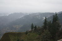 IMG 0214