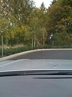 2009-10-13 Deer on Stephens Driveway
