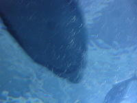 DSC01966