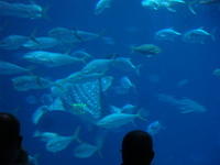DSC01970