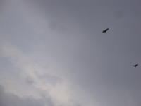 DSC02176