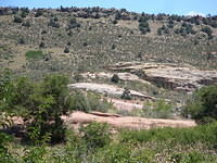 DSC02392