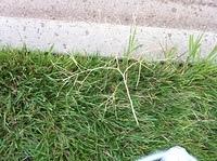 IMG 0030