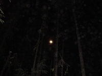 2011-03-20 Midnight Snow Shoeing at Trillium Lake